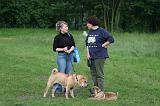 RENCONTRE ENTRE CHIENS 195